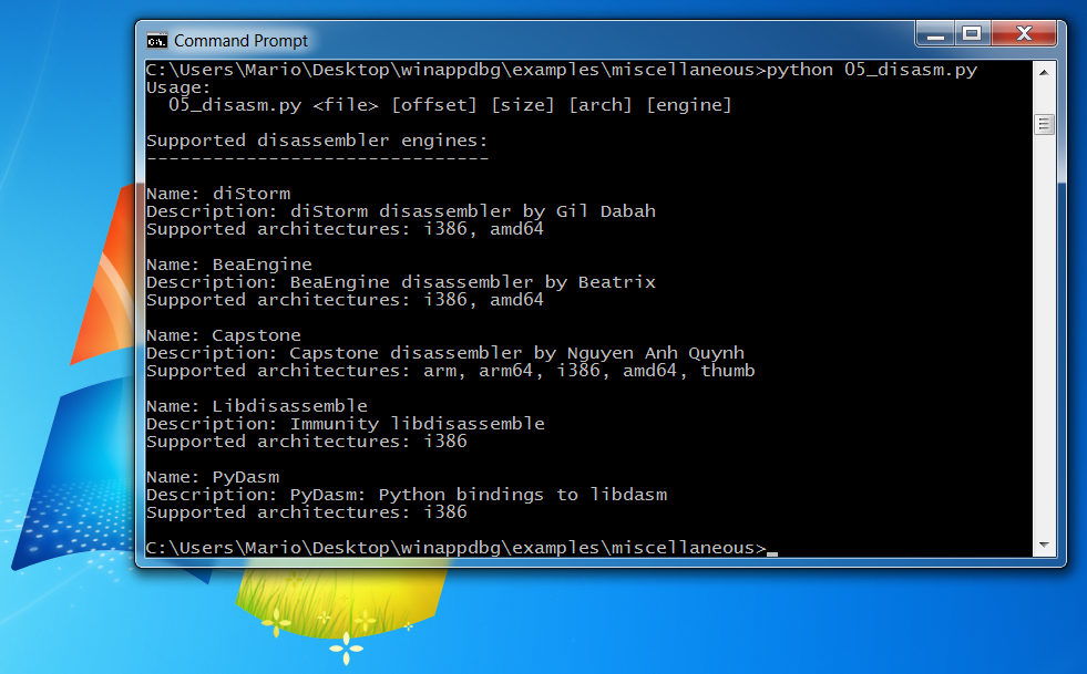 _images/disasm.png